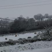 Snow on the Blackdown Hills above Honiton this morning.