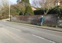 Bernice Selvey and the wall outside her property in Axminster