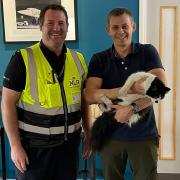 Alex Stephenson (left) in Exeter Airport’s XLR jet centre, reuniting Ted the cat with owner Rich Fleming.