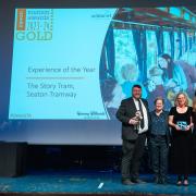 Gold for Experience of the Year