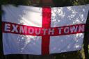 The Exmouth Town flag that can be seen at home and away games. Picture MARTIN COOK