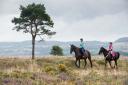 © Guy Newman. 17.08.2018 Launch of Horse Riding Code on the Pebblebed Heaths