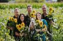Handpicked sunflowers from Darts Farm, at Topsham, have raised record-breaking funds for Hospiscare.
This years crop of thousands raised 6153 for the charity, helping Hospiscare provide free end-of-life care and family support.