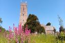 Devon CPRE's Best Churchyard Competition 2023 - Woodbury churchyard