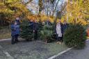 Hospiscare Christmas tree collection