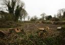 The site in Kilmington where more than 200 mature trees were felled