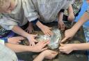 Year 4 and 5 students at Honiton Primary School took part in the  Earth Day event.