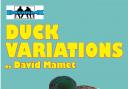 Duck Variations poster