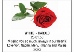 HAROLD WHITE