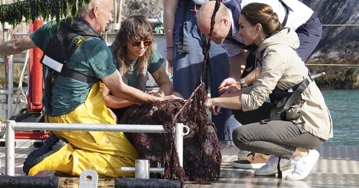 Prince of Wales makes 'salty' comment after tasting seaweed - Vimarsana News