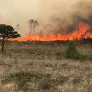 Devon and Somerset Fire and Rescue Service has issued a wild fire warning. PIcture: Devon and Somerset Fire and Rescue Service