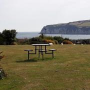 Cliff Filed Gardens is the venue of the Seaton Summer Celebration on June 2.