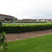 Wincanton Racecourse