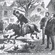 'In 1829, John Jonevich tortured a bear in Honiton High Street'