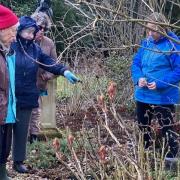 Tutor Fiona, discussing the plants with Carole Ballm, Jilly Burston and Kay Lawrence