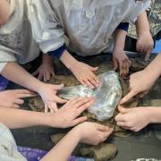 Year 4 and 5 students at Honiton Primary School took part in the  Earth Day event.
