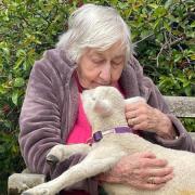 Resident Phyllis with one of the lambs