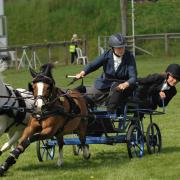 Scurry Horse Racing at Devon County Show.