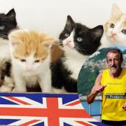 Bob Carter and the four homeless kittens Twix, Toffee, Snickers and Wispa.