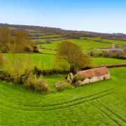 A 45-acre site at Trill near Musbury sold for 50 per cent above the guide price  Picture: Symonds & Sampson