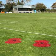 Poppy Day at Beer Albion