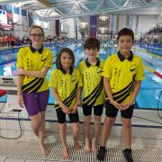 Honiton Swimmers