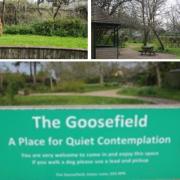 Goosefield Green new park benches