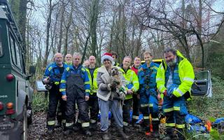 Rescue teams with the dog and owner